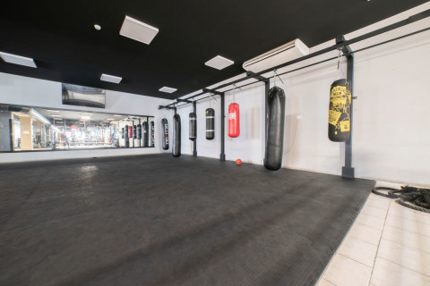 gallery visual content