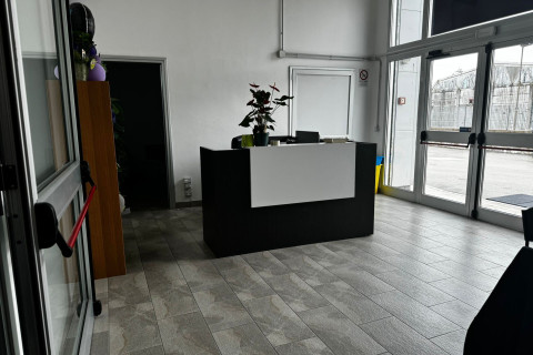 gallery visual content
