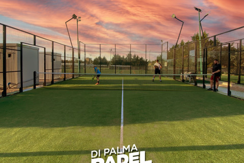 gallery visual content