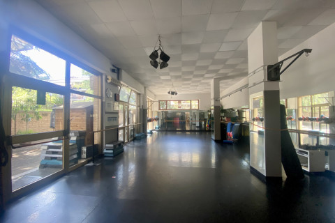 gallery visual content