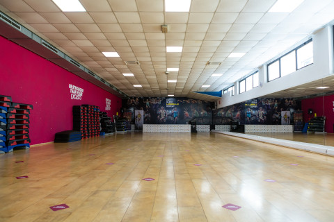 gallery visual content
