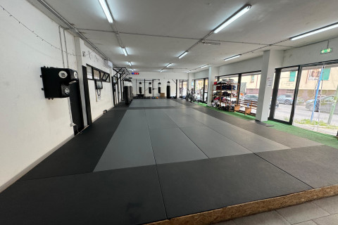 gallery visual content