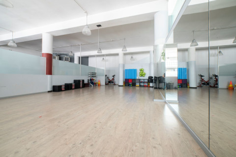gallery visual content