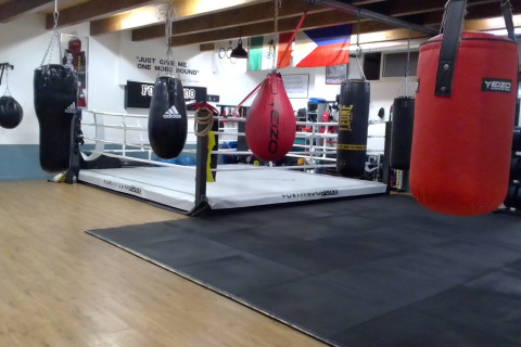 Fortitudo Boxe