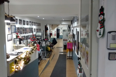gallery visual content