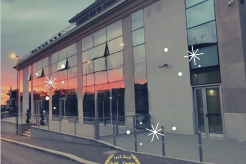 gallery visual content