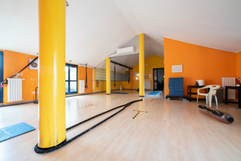 gallery visual content