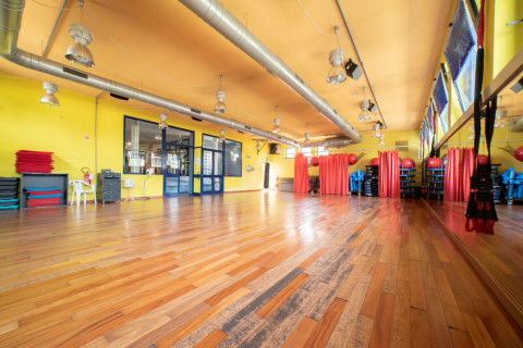 gallery visual content