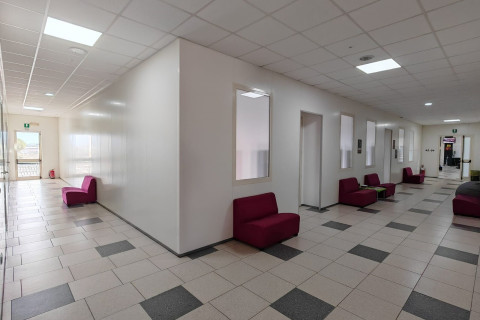 gallery visual content