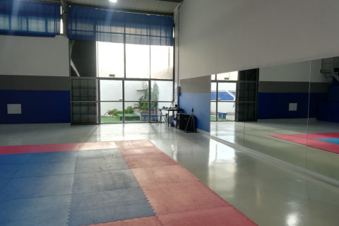 gallery visual content