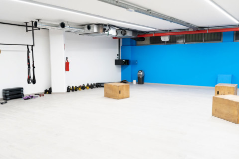 gallery visual content