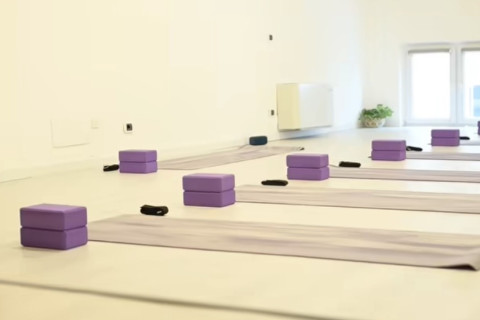gallery visual content