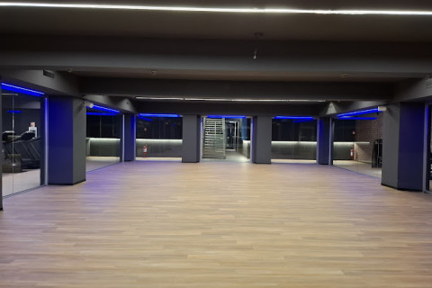 gallery visual content
