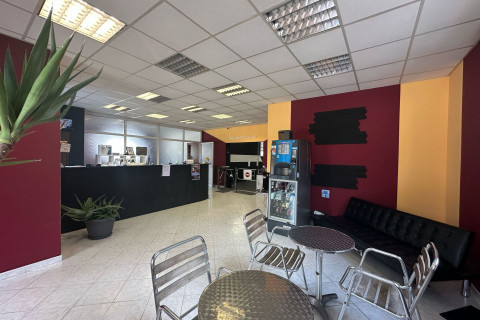 ASD ROMA PALESTRE
