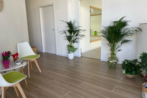 gallery visual content