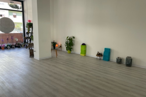 gallery visual content