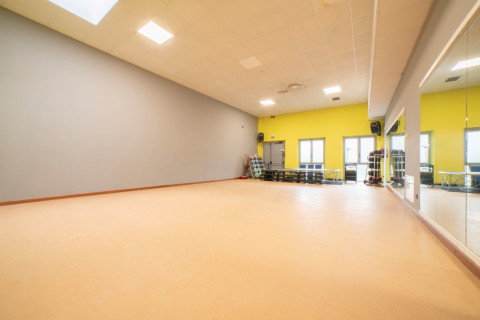 gallery visual content