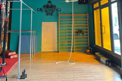 gallery visual content