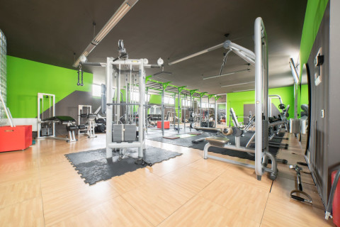 Nex Training Lab