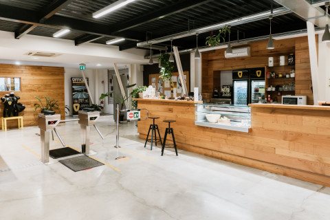 gallery visual content