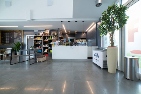 gallery visual content