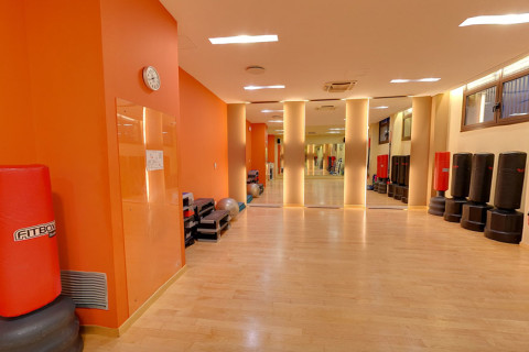 gallery visual content