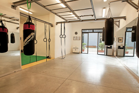 gallery visual content