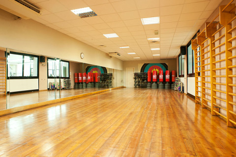 gallery visual content