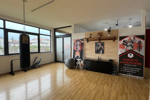 gallery visual content