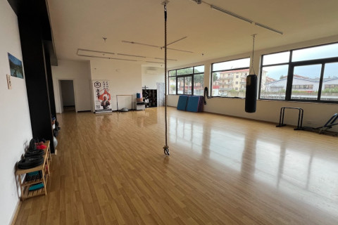 gallery visual content