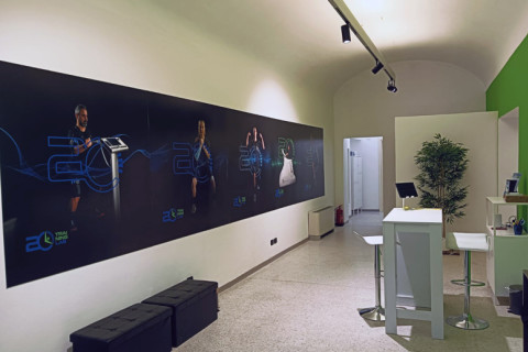 gallery visual content