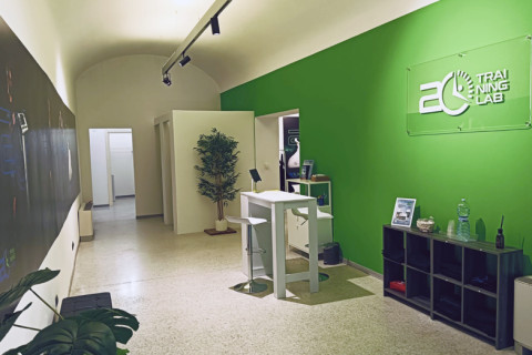 gallery visual content