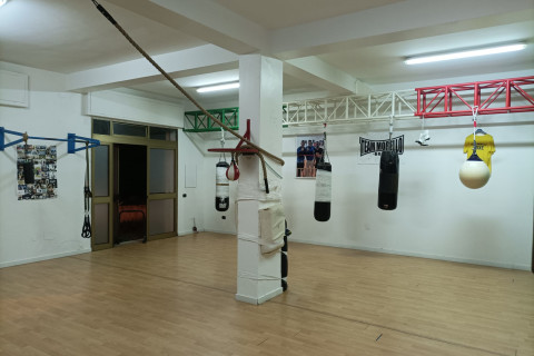 gallery visual content