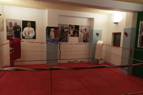 gallery visual content