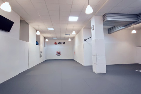 gallery visual content