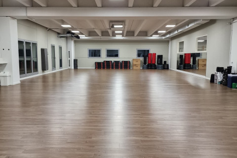 gallery visual content