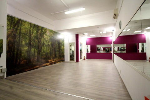 gallery visual content
