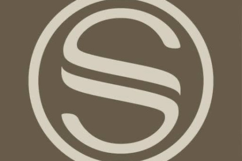 gallery visual content