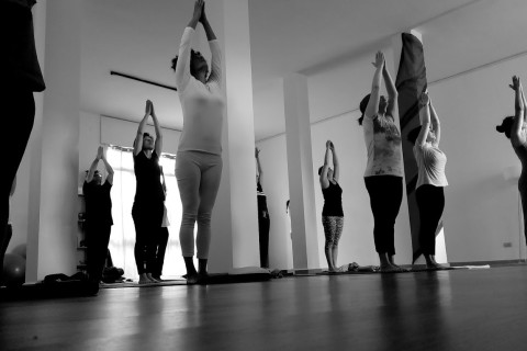 YogalabS