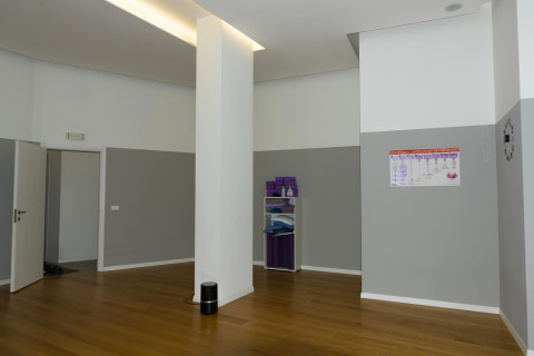 gallery visual content