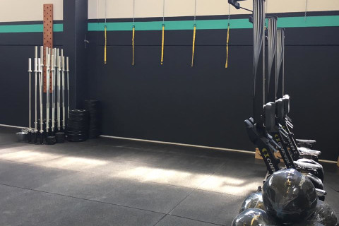 gallery visual content
