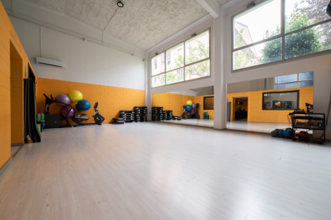 gallery visual content