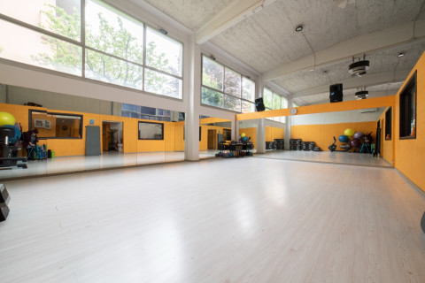 gallery visual content