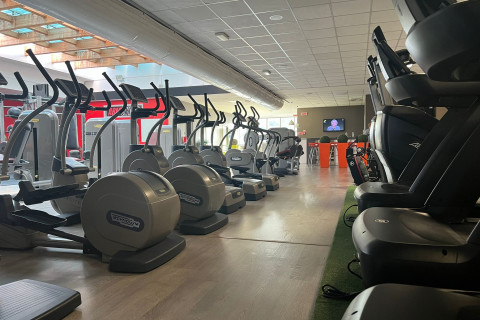 Armgym Palestre