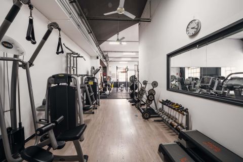gallery visual content