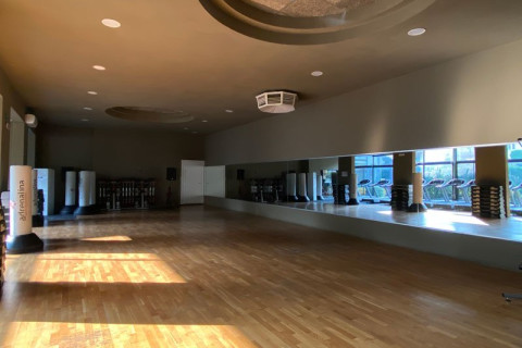 gallery visual content