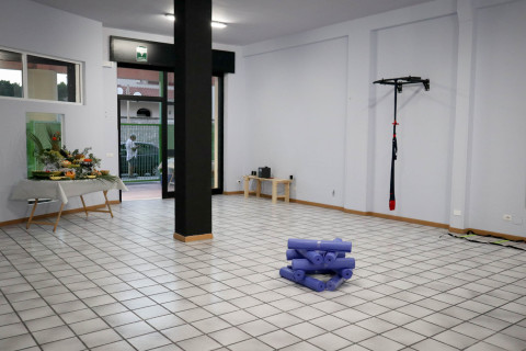 gallery visual content