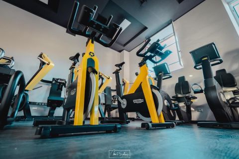 gallery visual content