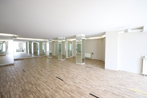 gallery visual content