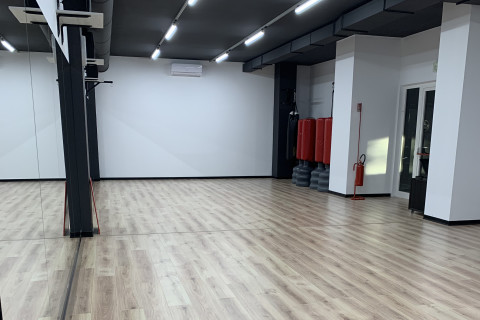 gallery visual content
